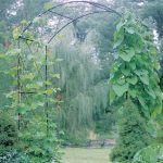 Monet Arch - Image 4