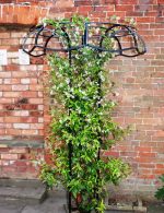 Large Tuteur - Image 2