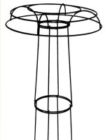 Small Tuteur - Image 2