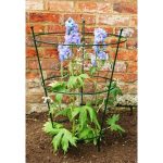 Large Peony Plant Support