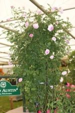 Traditional Obelisk (7ft) Bare Metal - Image 2